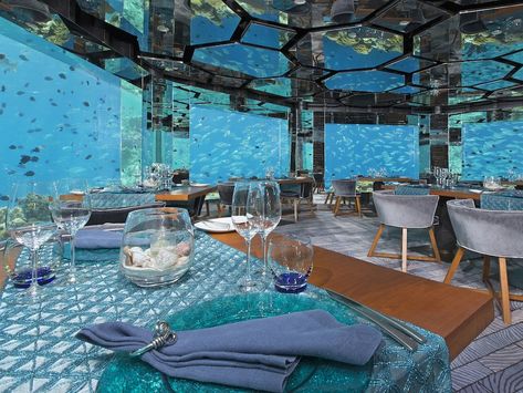 7 Underwater Restaurants and Bars Around the World - Condé Nast Traveler Maldives Villas, Underwater Hotel, Underwater Restaurant, Underwater House, Water Villa, Krabi Thailand, Burj Al Arab, Most Luxurious Hotels, Porto Rico