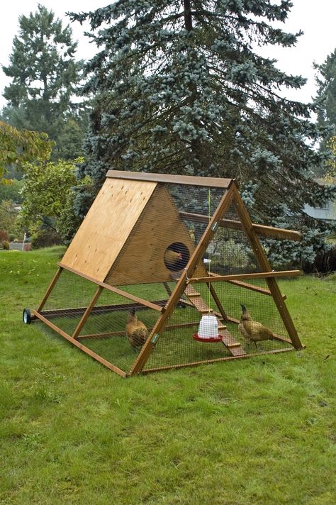 You can find plans for this truly portable and chicken-friendly chicken tractor in the book 40 Projects for Building Your Backyard Homestead. Chicken House Diy, Small Chicken Coop, Reban Ayam, Chicken Coop And Run, A Frame Chicken Coop, Coop And Run, Mobile Chicken Coop, Chicken Houses, Small Chicken Coops