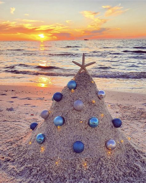 Beach Christmas Pictures, Christmas Beach Photos, Bissell Carpet Cleaner, Christmas Poses, Florida Christmas, Cool Kids Bedrooms, Xmas Photos, Christmas Sparkle, Hawaiian Christmas