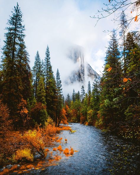 Landscape Photography Tips, Autumn Scenery, Yosemite National Park, Pretty Places, Fall Foliage, Nature Travel, Nature Pictures, Beautiful World, Beautiful Landscapes