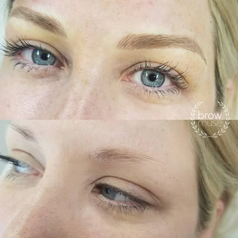 Blonde Microblading, Cosmetic Tattoo Eyebrows, Microblading Artist, Mircoblading Eyebrows, Eyebrows Goals, Blonde Tattoo, Ombre Eyebrows, Permanente Make-up, Light Eyebrows