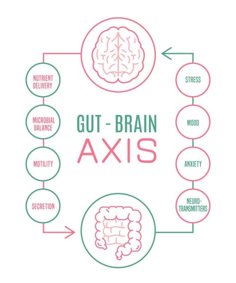 5 Tips to Boost Serotonin: How the Gut-Brain Axis Works 2 Gut Brain Axis, Mushroom Logo, Boost Serotonin, Medical Infographic, Mood Regulation, Poster Medical, Thyroid Recipes, Enteric Nervous System, Music And The Brain