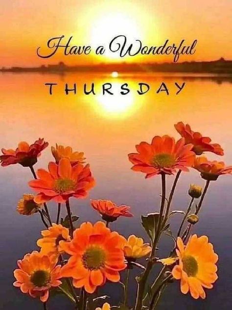 Have A Wonderful Thursday, Happy Thursday Pictures, Thursday Morning Quotes, Wonderful Thursday, Happy Thursday Morning, Happy Thursday Images, Thursday Greetings, Village Market, Thursday Humor