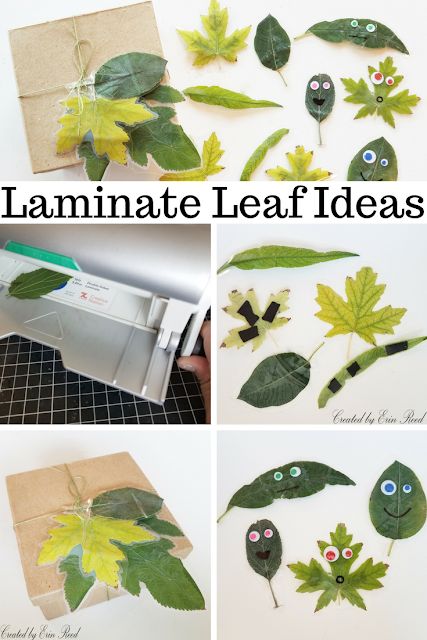 scraps of reflection: 4 Fun Ways to Use Laminated Leaves Laminate Crafts Projects, Laminated Leaves, Laminate Leaves, Lamination Projects Ideas, Things To Laminate, Laminated Crafts, Laminator Crafts, Laminating Crafts, Holiday Club