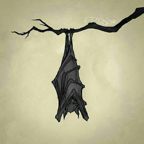 Hanging Bat Drawing, Crow Ideas, Things Reference, Bat Sketch, Bat Drawing, Dark Art Paintings, Abigail Larson, Starry Eyes, Hanging Bat