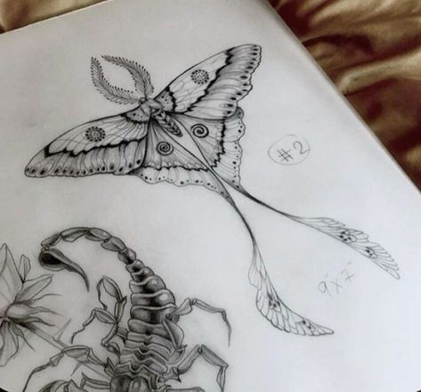 Realism Moth Tattoo, Lunar Moth Tattoo, Luna Moth Tattoo, Word Tattoo Ideas, Clavicle Tattoo, Fern Gully, Moth Tattoo Design, Animal Tattoo Ideas, Lunar Moth