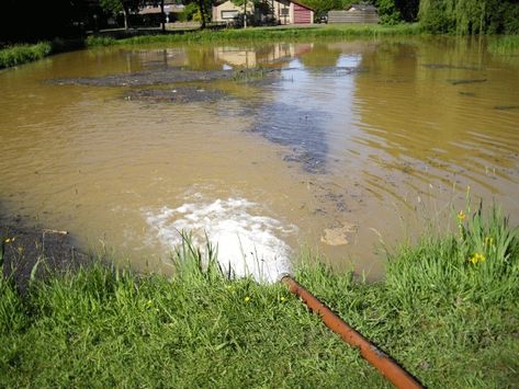 What To Do When Your Pond Water Turns Brown | Fitz's Fish Ponds Retention Pond, Green Pond, Farm Pond, Water Issues, From The Pond, Green Algae, Water Pond, Fish Ponds, Garden Pond