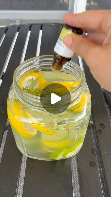 Brooklyn B on Instagram: "Natural way to get rid of mosquitoes 🦟 #diy #hack #homehack" Indoor Mosquito Repellent Diy, How To Get Rid Of Mosquitos In Yard, Mosquito Hacks, Fly Repellant Diy Outdoors, Mosquito Repellent Oils, Indoor Mosquito Repellent, Homemade Mosquito Repellent, Mosquitoes Repellent, Kill Mosquito Larvae