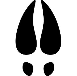 Deer Hoof Print Silhouette Deer Hoof Print, Moose Hoof Print, Antelope Silhouette, Deer Hoof, Elk Silhouette, Deer Tracks, Hoof Print, Silhouette Clip Art, Animal Silhouette