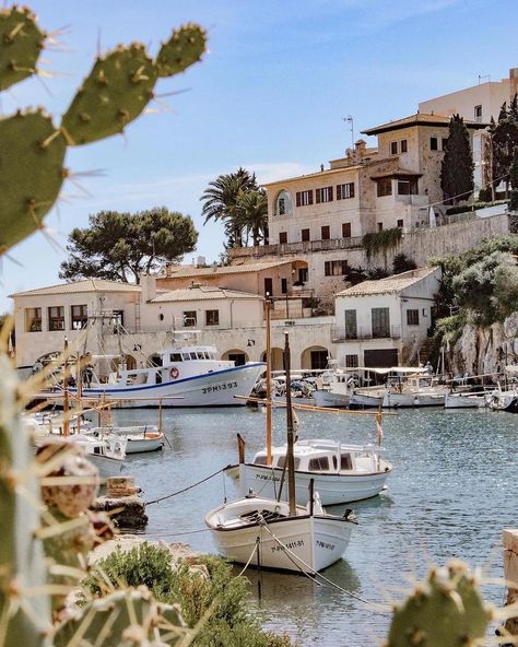 From the bustling streets of Palma to the serene coves along the coastline, Mallorca offers diverse experiences for travelers seeking relaxation, adventure, and cultural immersion. Whether indulging in delicious seafood, exploring ancient ruins, or lounging on pristine beaches, Mallorcan summers promise unforgettable moments amidst the beauty of the Balearic Islands. 📸 @julifrommallorca #SoVirtuoso #VirtuosoTravel Mallorca Aesthetic, Romanticing Life, Mallorca Island, Balearic Islands, London Street, Ancient Ruins, Europe Travel, Trip Advisor, Seafood