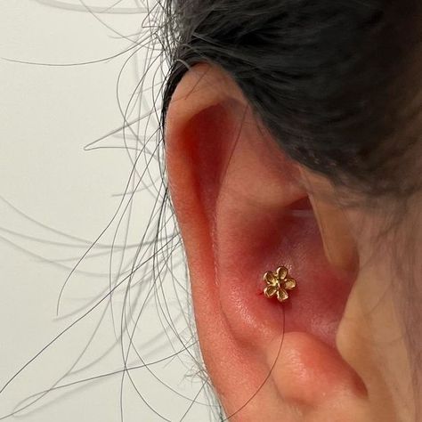 Cute Conch Piercing Studs, Conch Piercings Ear, Small Conch Piercing, Daith Stud Piercing, Conch Piercing Jewelry Studs, Ear Conch Piercings, Stud Conch Piercing, Piercing For Small Ears, Conch Stud Jewelry