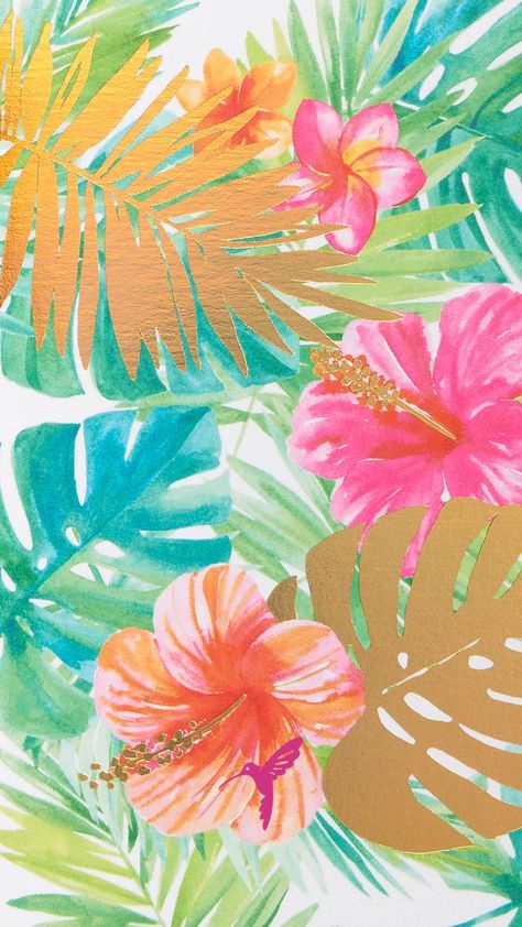 Backgrounds For Phones, Free Phone Backgrounds, Summer Prints Wallpaper, Beach Wall Collage, Cute Summer Wallpapers, Tropical Background, Wallpaper Iphone Summer, Tropical Wallpaper, Iphone Wallpaper Photos