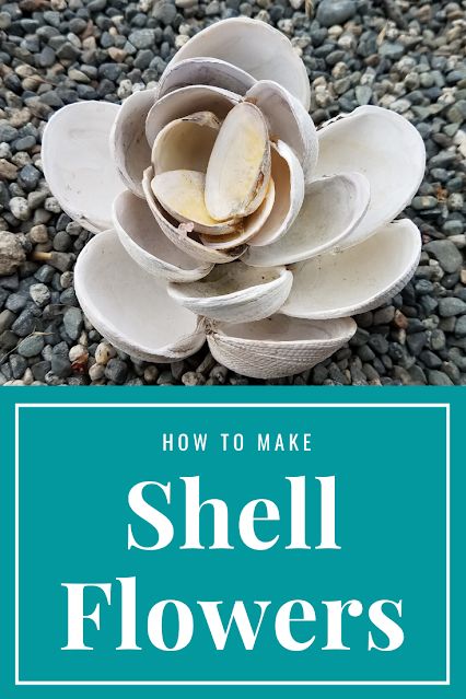 Erin Reed Makes: Beach Art - Seashell Flowers Shell Arrangements Seashells, Sea Shell Flowers How To Make, Seashell Flowers How To Make, How To Make Oyster Shell Magnolia Flower, Sea Shell Flowers Diy Seashell Crafts, Shell Flowers How To Make, She’ll Christmas Ornaments, Shell Flowers Seashell Crafts, Seashell Flowers Diy