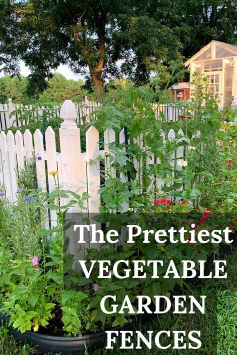 Garden Fence Ideas on a Budget Vegetable Garden Fence, Fence Edging Ideas, Fence Edging, Upcycled Furniture Before And After, Raised Vegetable Garden, Fenced Vegetable Garden, Fencing Options, Upcycled Garden, Decorative Garden Fencing