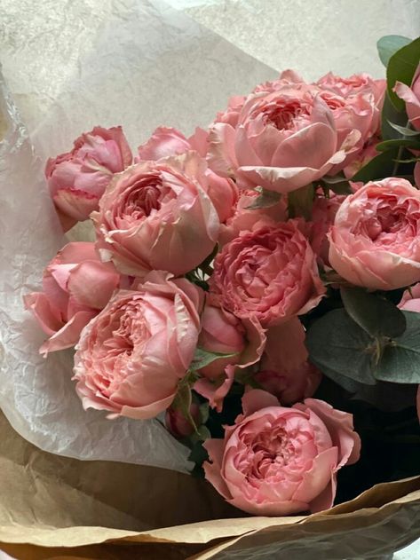 Rose Garden Aesthetic, Chandon Rose, Boquette Flowers, Garden Aesthetic, Nothing But Flowers, Peonies Bouquet, Flower Therapy, Beautiful Rose Flowers, Rose Flowers