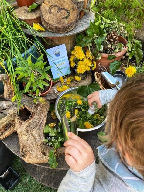 Nature School Aesthetic, Forest School Aesthetic, Natural Outdoor Playground, Forest Play, Nature School, Forest School, Outdoor Learning, Outdoor School, Outdoor Playground