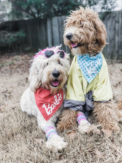 Barbie Day, Golden Doodles, Barbie Costume, Barbie Family, Holiday Dog, Barbie Ken, Family Costumes, Dog Costumes, Dog Holiday