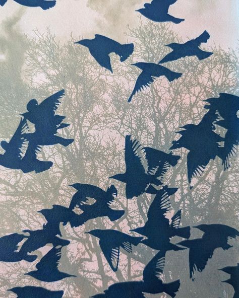 More playing... Bleached cyanotype re-exposed with starlings image, then translucent relief inks applied with a printing roller... . . . . . . #printmakingprocess #cyanotype #cyanotypeprocess #doubleexposure #starlings #birdsinflight #printplay #womenwhoprint #natureinspired #murmuration Cyanotype Process, Ap Art, Printed Plates, Starling, Junk Drawer, Double Exposure, Birds In Flight, Surface Pattern, Printmaking