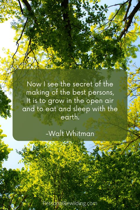 Grass Quotes, Deep Nature, Walt Whitman Quotes, Leaves Of Grass, Nature Connection, Quotes Nature, Walt Whitman, Author Quotes, Finding Happiness