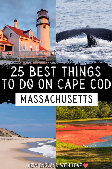 Cape Cod Trip Things To Do, Cape Cod To Do, Cap Cod Massachusetts, Day Trip To Cape Cod, Weekend In Cape Cod, Cape Cod Day Trip, Boston To Cape Cod Road Trip, Hyannis Cape Cod Things To Do, What To Do In Cape Cod