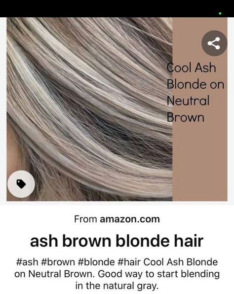 Going From Brown To Blonde To Cover Gray, Blonde Highlights On Dark Hair To Cover Gray, Dark Blonde Hair With Grey Highlights, Silver Ash Blonde Highlights, Ash Highlights In Brown Hair, Silver White Highlights On Brown Hair, Blonde Highlights Covering Grey, Hair Color For Gray Coverage, Hair Color Ideas For Graying Hair Brunettes