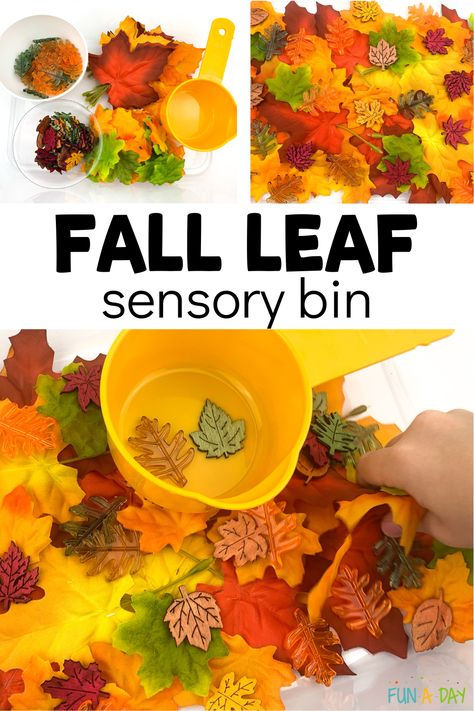 Leaf Sensory Activities, Fall Sensory Table Ideas, Leaves Sensory Bin, Leaf Sensory Bin, Leaves Sensory, Leaf Lesson Plans, Fall Activities For Preschool, Random Activities, Leaf Lessons