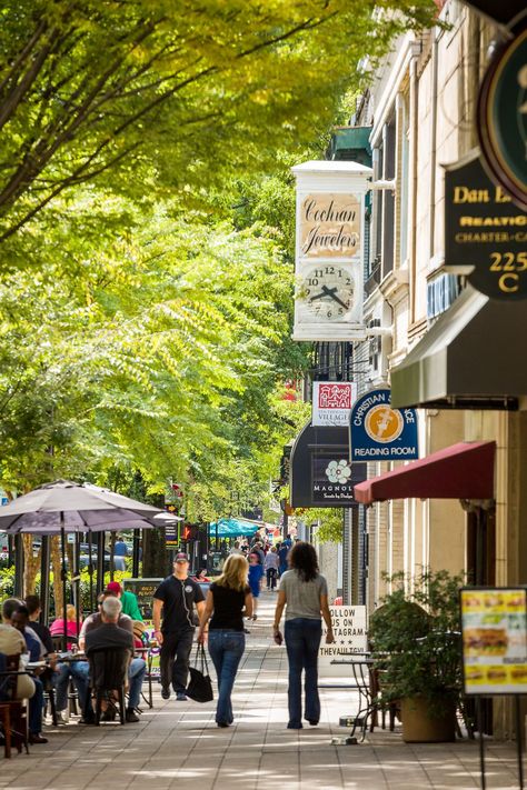 Small Towns Usa, Small Town America, Street Trees, Urban Area, City Streets, Main Street, Small Town, Small Towns, In America