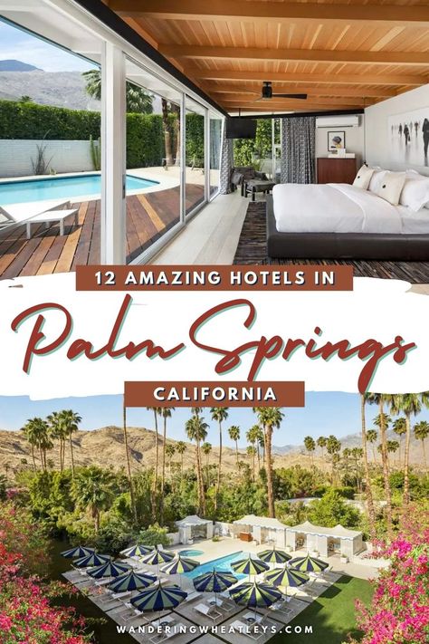 Are you looking for fabulous places to stay in Palm Springs, California? Here are 12 of the BEST boutique hotels in Palm Springs in the best neighborhoods in Palm Springs for a perfect California… Hotels In California, Mid Century Palm Springs, Palm Springs Resorts, Palm Springs Hotel, Oasis In The Desert, Marriot Hotel, Palm Springs Hotels, Amazing Hotels, Palm Spring