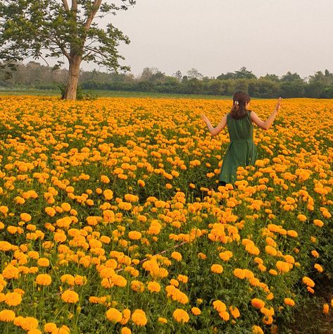 Marigold Flower Field, Field Of Marigolds, Marigold Photoshoot, Marigold Aesthetic, Marigold Field, Kat Singleton, Thea Sisters, Sarah Core, Rock Wall Gardens