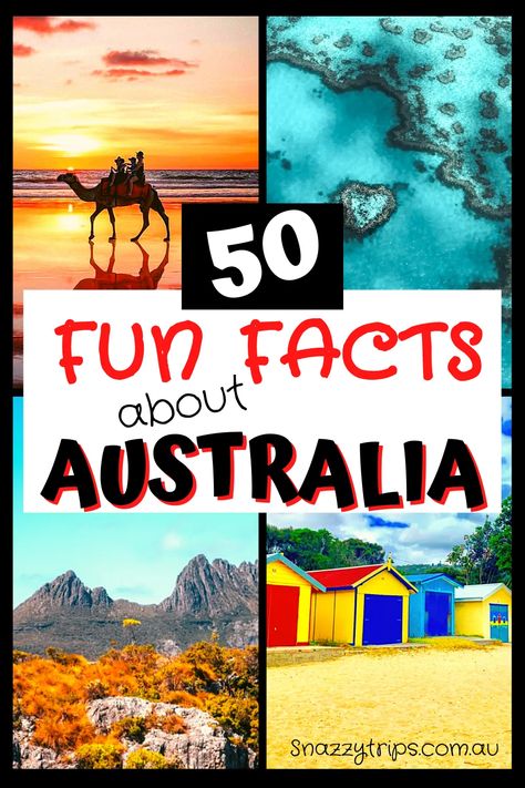 Fun and fascinating facts about Australia that you probably didn't know, some of which will surprise you and may inspire you to visit. Australia Fun Facts, Facts About Australia, Australia Facts, Nails Shapes, Core Knowledge, Study In Australia, Australia Itinerary, Saltwater Crocodile, Australia Country