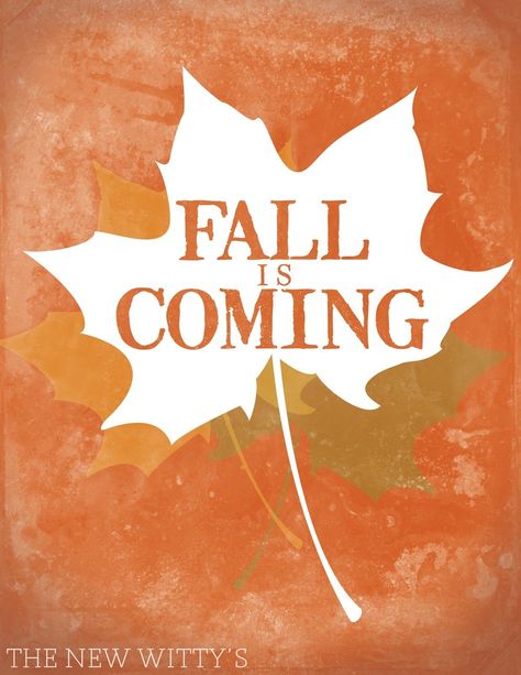 Fall Is Coming autumn fall autumn pictures autumn quotes fall quotes fall is coming fall pictures fall images autumn images Peony Japanese, Japanese Expressions, Thanksgiving Photography, The Ber Months, Autumn Pics, Workplace Motivation, Season Of Change, Last Splash, Game Of Thrones Winter