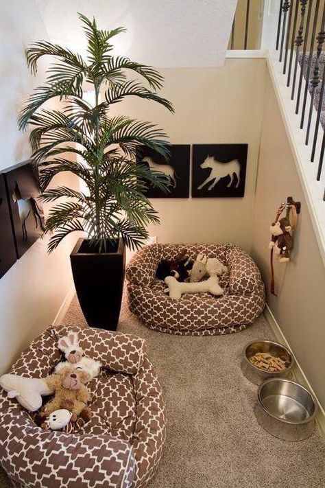 Dog Room Design, Puppy Playground, Vet Nursing, Dog Room Decor, Dog Bedroom, Puppy Room, Dog Corner, Nursing Life, Pet Things