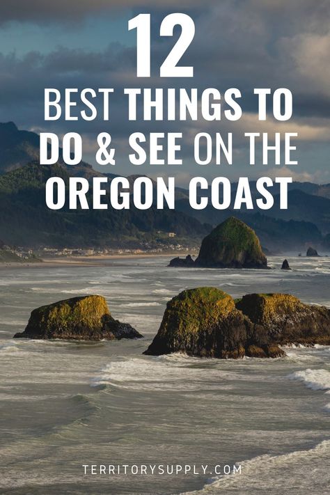 Oregon Coast Roadtrip, Oregon Coast Road Trip, Rv Travel Destinations, Oregon Coastline, Oregon Dunes, Oregon Vacation, Oregon Road Trip, Oregon Washington, Oregon Travel