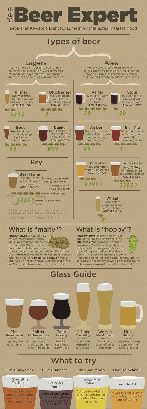 I love a good infographic, this is a simple truth that all readers of this blog know. I mean, I even went so far as to create several of my own ( Now the creative folks at Michigan State University... Different Types Of Beer, Beer Names, Beer Types, Beer Guide, Types Of Beer, Beer Drinker, All Beer, Beer Tasting, How To Make Beer