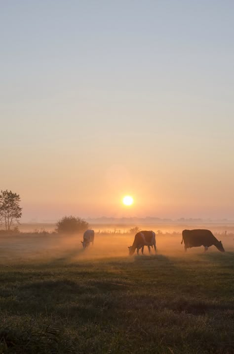 Farm Lifestyle, Hapkido, Western Aesthetic, Pretty Landscapes, Beautiful Lighting, Country Road, Nature Aesthetic, Agra, Pretty Places