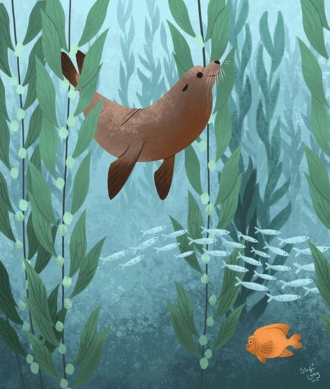 Sea Murals, Sea Illustration, Kelp Forest, Beautiful California, Animal Funny, Foose, Bird Supplies, California Coast, Sea Lion