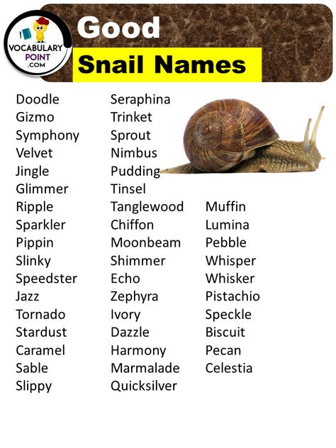 Are you tired of the same old pet names like Max, Lucy, or Fluffy? Well, get ready to enter the world of eccentricity with a twist of sliminess. Introducing snail names! These often-overlooked creatures have been given a bad rap for being slow and boring, but their names are anything but dull. From poetic monikers ... <a title="250+ Best Snail Names (Cute, Funny & Good Names)" class="read-more" href="https://vocabularypoint.com/snail-names/" aria-label="More on 250+ Best Snail Names (... Snail Names Ideas, Snail Names, How To Care For Snails, Snail Meaning, Garden Snail Care, Snail Pet, Entomology Decor, Snail Terrarium, Good Names