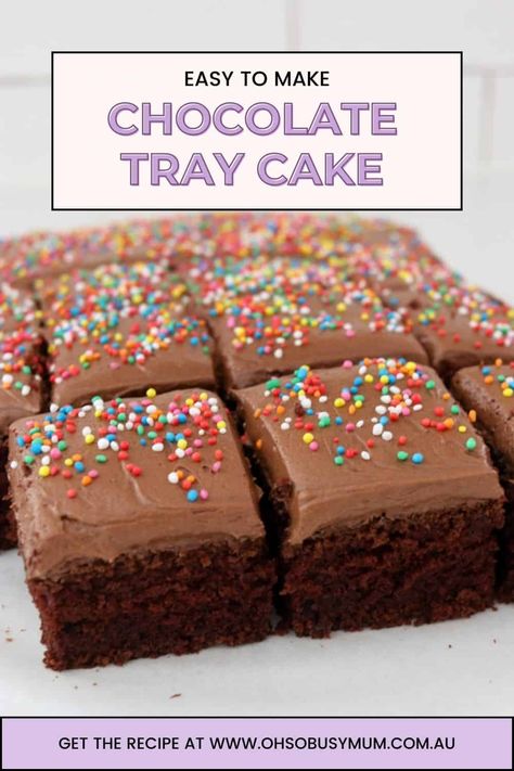 Easy Chocolate Tray Cake Chocolate Cake For Kids, Chocolate Tray, Cake For Kids, Tray Cake, Sprinkle Cake, Chocolate Icing, Cake Tasting, Kids Lunchbox, Easy Chocolate