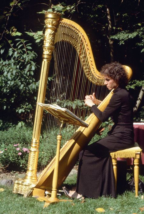 A harp player is the perfect touch for any vintage-inspired wedding. Image from my wedding circa 1980. Harp At Wedding, Harp Wedding, Orchestra Wedding, Wedding Orchestra, Harp Aesthetic, Violin Wedding, Harp Instrument, Harp Player, Harp Music