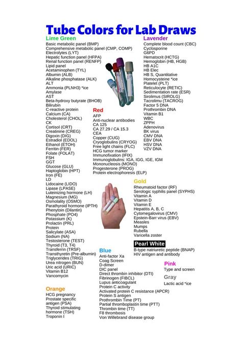 Phlebotomy Study, Medical Assistant Student, Nclex Review, C Reactive Protein, Nursing Study Guide, Emergency Prepardness, Chart Infographic, Nursing Mnemonics, Medical Student Study