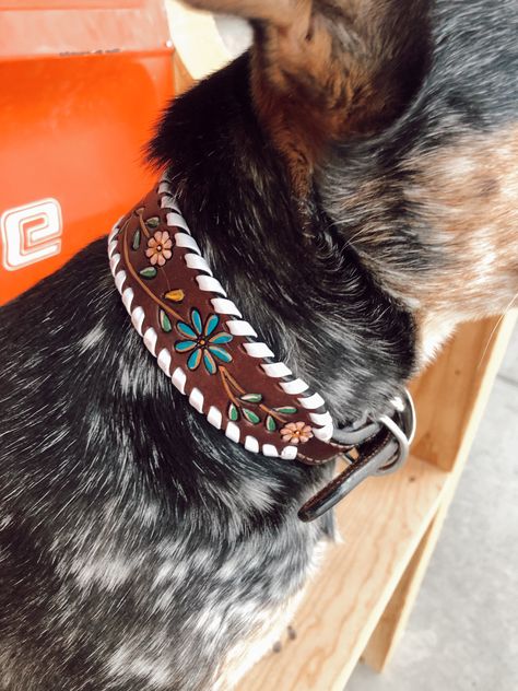 Spoil your pup with this gorgeous tooled leather dog collar. These are amazing quality and just simply beautiful. Leather tooling, painted floral vine details, and white whip stitching. Available in small, medium and large.