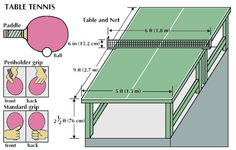 Art:Table tennis equipment Table Tennis Equipment Drawing, Table Tennis Equipment, Table Tennis Bats, Ping Pong Table Tennis, Camping Inspiration, Kids Homework, Tennis Equipment, Tennis Life, Kids Tennis