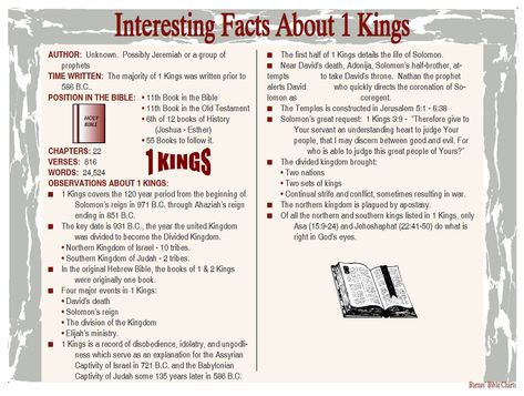 Interesting Facts about 1 Kings Titus Bible Study, Bible Summary, Bible Charts, Bible Overview, Bible Study Materials, Old Testament Bible, Inductive Bible Study, Bible Books, Bible Study Books