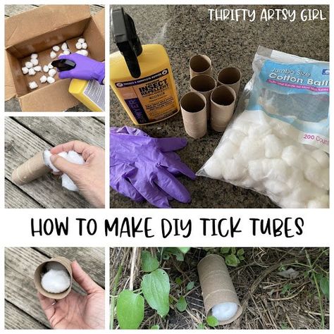 Tick Tubes, Get Rid Of Ticks, Craft Ideas Paper, Natural Insecticide, Stain Techniques, Hanging Craft Ideas, Artsy Girl, Tick Repellent, Kill Mosquitos