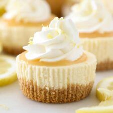 Cheesecake Cupcakes Recipe, Mini Cheesecakes Easy, Mini Cheesecake Recipes, Cake Mini, Cheesecake Cupcakes, Cheesecake Cake, Easy Cheesecake Recipes, Cheesecake Filling, Cracker Crust