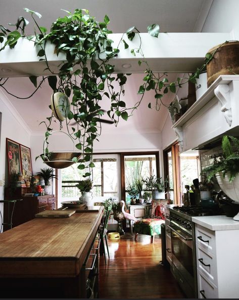 Plants On Beams, Hanging Plants From Ceiling Beams, Stairwell Plants, Plants Hanging From Ceiling, Ceiling Plants, Lights Above Kitchen Island, Hang Plants From Ceiling, Hanging Beam, Ceiling Beams Living Room