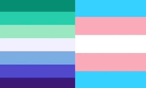 Gender Fluid Wallpaper, Lgbt Flag Colors, Trans Pride Flag, Gender Flags, Trans Flag, Gay Flag, Gay Pride Flag, My Personality, Lgbt Flag