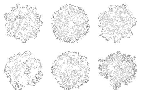 Top view Planting Design Plan, Tree Plan Photoshop, Silhouette Architecture, Urban Spaces Design, Trees Top View, Tree Photoshop, Illustration Architecture, Tree Plan, Tree Textures