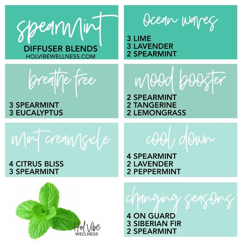 Spearmint Diffuser Blends, Essential Oil Perfumes Recipes, Siberian Fir, Doterra Diffuser Blends, Essential Oil Combinations, Doterra Essential Oils Recipes, Lavender Eucalyptus, Essential Oil Diffuser Blends Recipes, Young Living Essential Oils Recipes