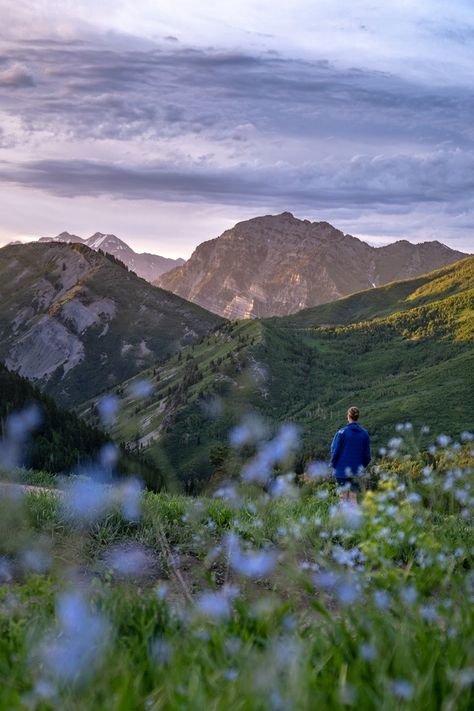 Eagle Mountain Utah, Uintah Mountains Utah, Utah Hiking Trails, Utah Nature, Utah Lakes, Visit Utah, Utah Adventures, Utah Mountains, Mountain Camping